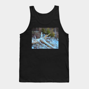 Driftwood illustration Tank Top